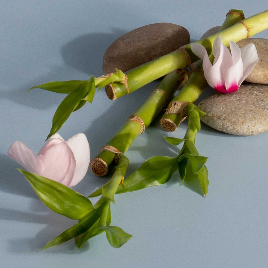 Stix Diffuser Air Freshener Starter Set