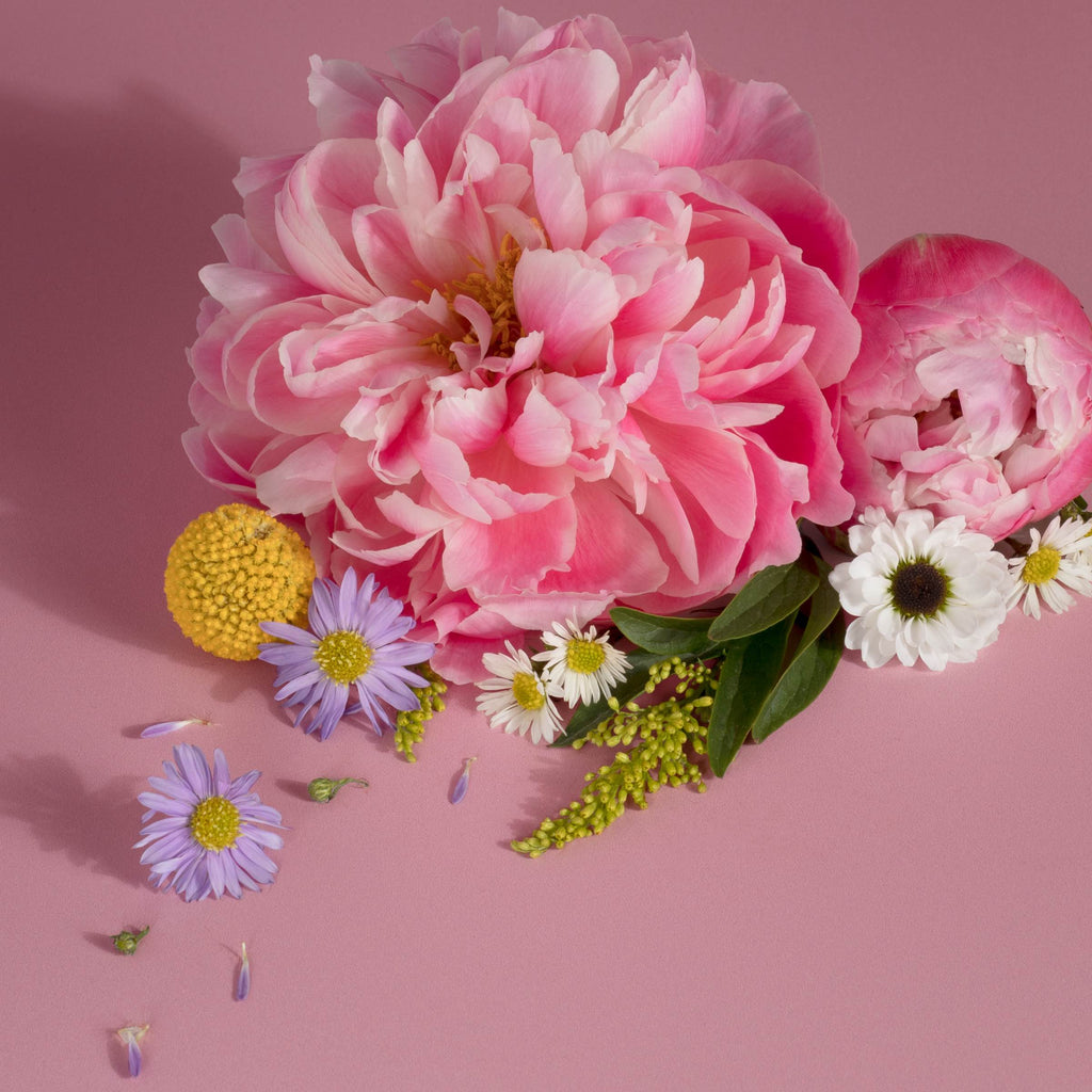 Stix Diffuser Air Freshener Starter Set