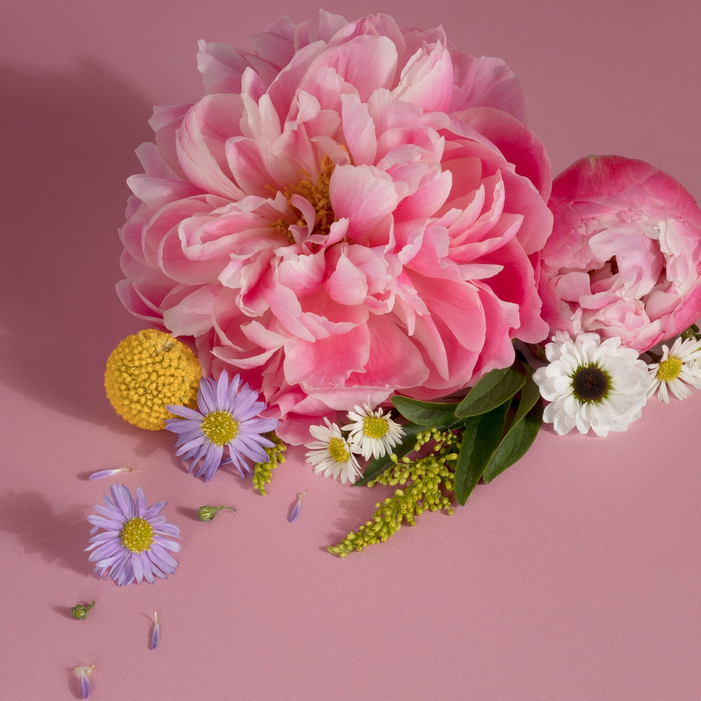 Plug-in Air Freshener Starter Set