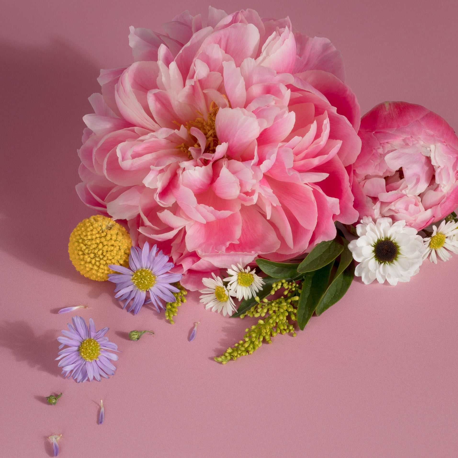 Plug-in Air Freshener Starter Set