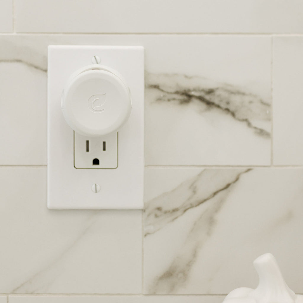 Plug-in Air Freshener Starter Set