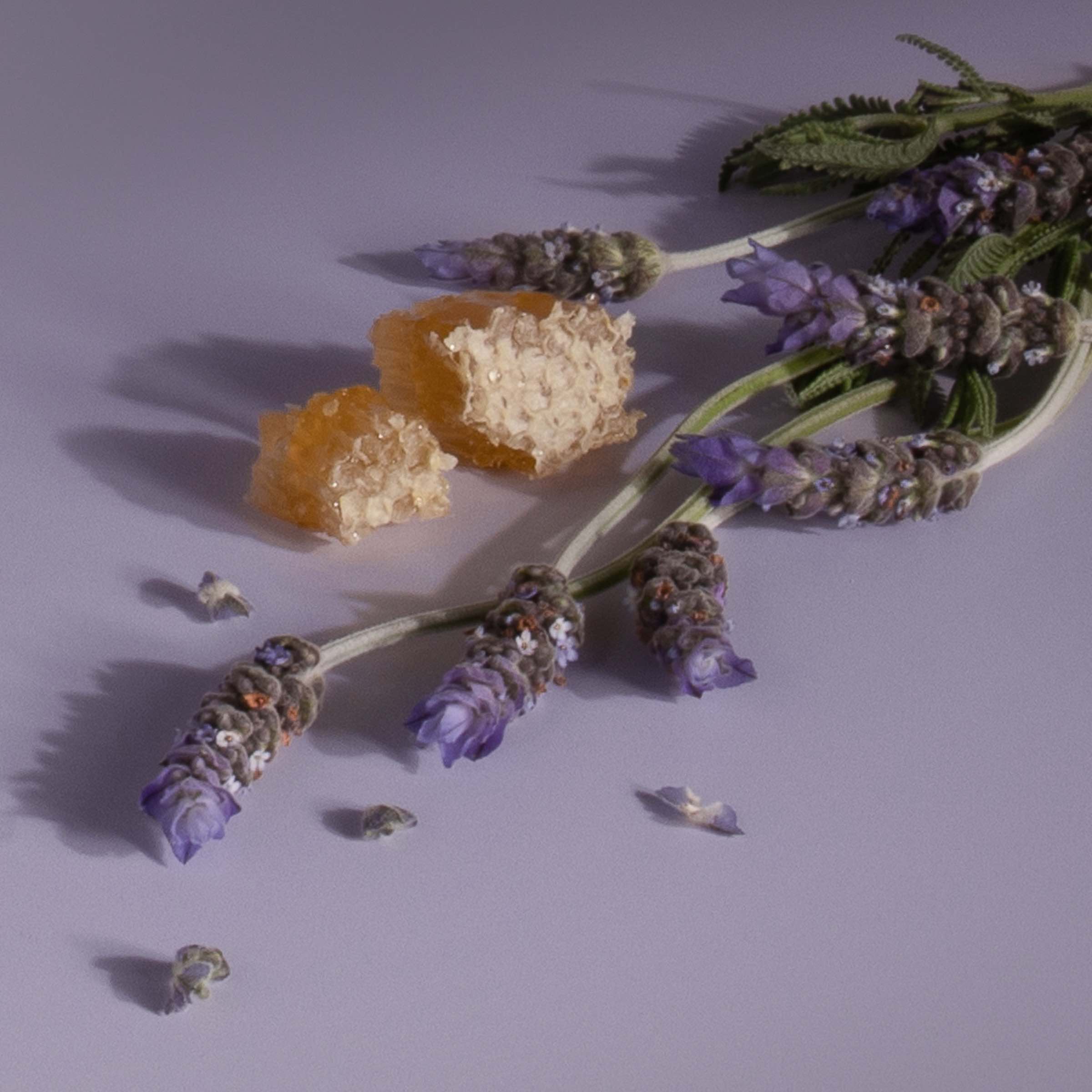 Stix Diffuser Air Freshener Starter Set