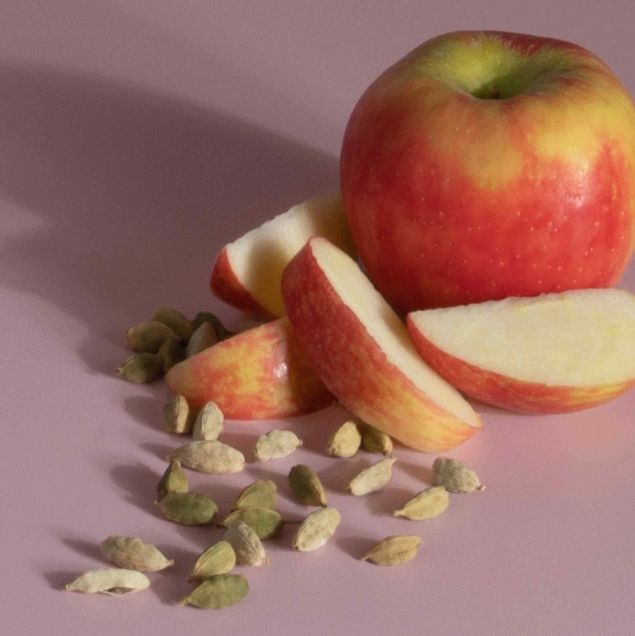 Plug-in Air Freshener Starter Set