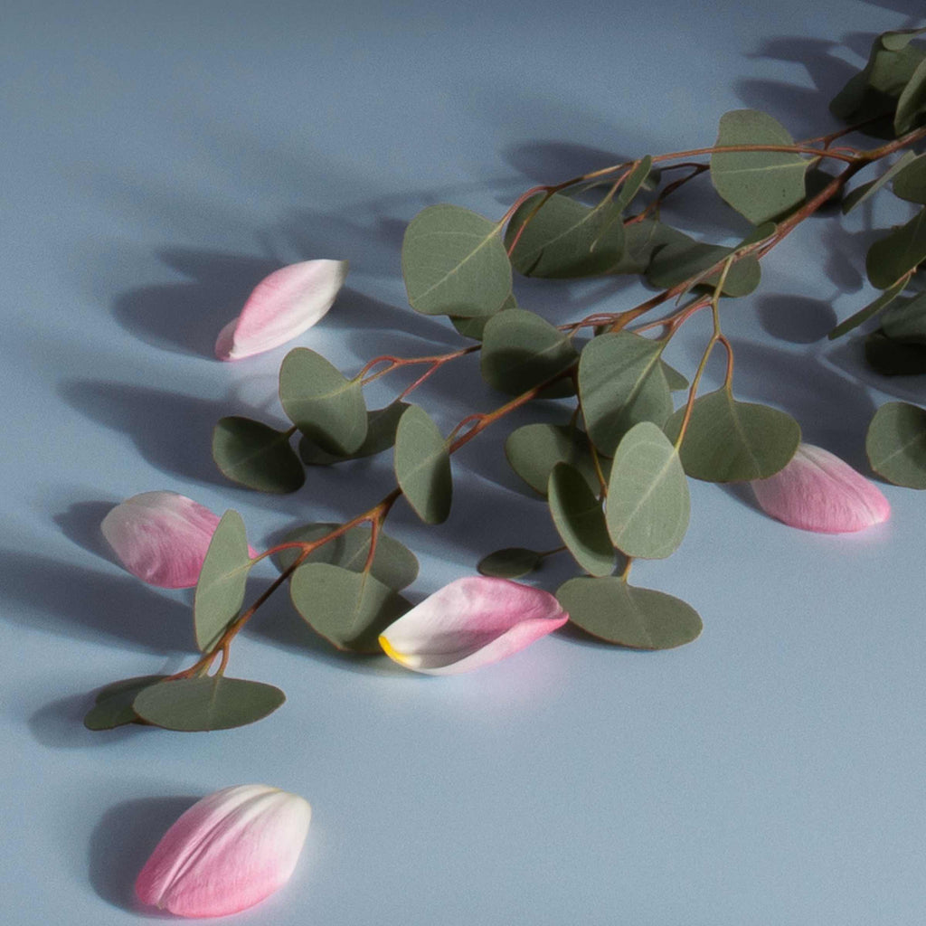 Stix Diffuser Air Freshener Starter Set