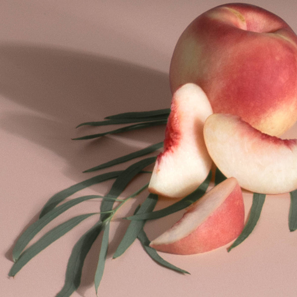 Stix Diffuser Air Freshener Starter Set - Grove Exclusive